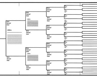 Large Family Tree Chart Bracket Style 48 x 24