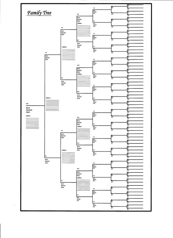 Large Family Tree Chart Bracket Style 24 x 36
