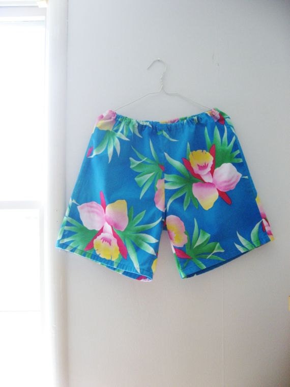 Vintage Original Jams Surf Line Hawaii Shorts Large Blue Pink