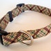 Masculine Brown and Green Dog Collar size Medium