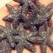 Starfish Sprinkles - 10 Tiny Gunmetal Accent/Decor Glitter Starfish