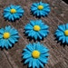Sky Blue Sunflower Cabochon, Resin, 27mm 6 pcs