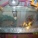Price slashed Vintage Hollywood glam venetian mirror vanity tray