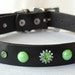 Black Leather dog Collar with Green Pearl and Jeweled Rivets Size Medium or Large - reclaimed leather