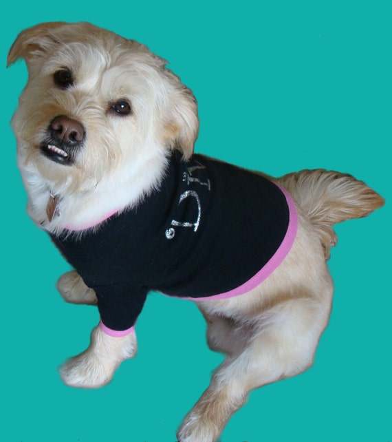 Diva Dog TShirt by HotDogCanineApparel on Etsy