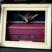 Vintage White Shabby Frame