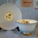Shelley English Rose Cup and Saucer