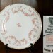 ORIGINAL BRIDAL ROSE Bread & Butter Plate by Schumann Bavaria