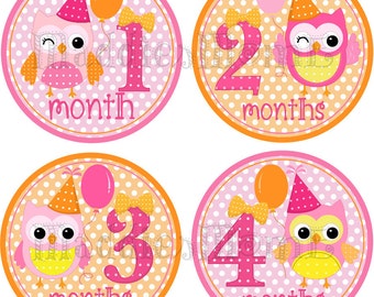 Monthly Baby Girl Stickers, Milestone Stickers, Baby Shower Gift Baby Month Stickers, Baby Month Stickers Girl Owls (Samantha Birthday)