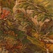 1892 Ernst Heyn Mosses and Liverworts Botanical Lithograph