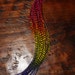 Tie Dye Whiting rooster feather hair extensions grizzly 10 pack