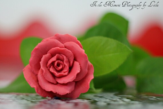 10 ROSE SOAP FAVORS (soaps only) - Bridal Shower, Wedding, Valentine's Day, Mothers Day, Perfect Gift Il_570xn