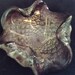 Vintage Hand Blown Purple Serving Dish Home Decor Houseware Hand Made 1950's Mad Men Mid Century Modern