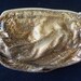 Vintage Whiting & Davis Purse 1950's Collectible Handbag Clutch Designer Signed Gold Metal Mesh Mad Men Mod Mid Century Hollywood Regency