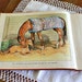 Vintage Children's Horse Book