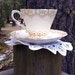 Gladstone China Tea Cup and Saucer