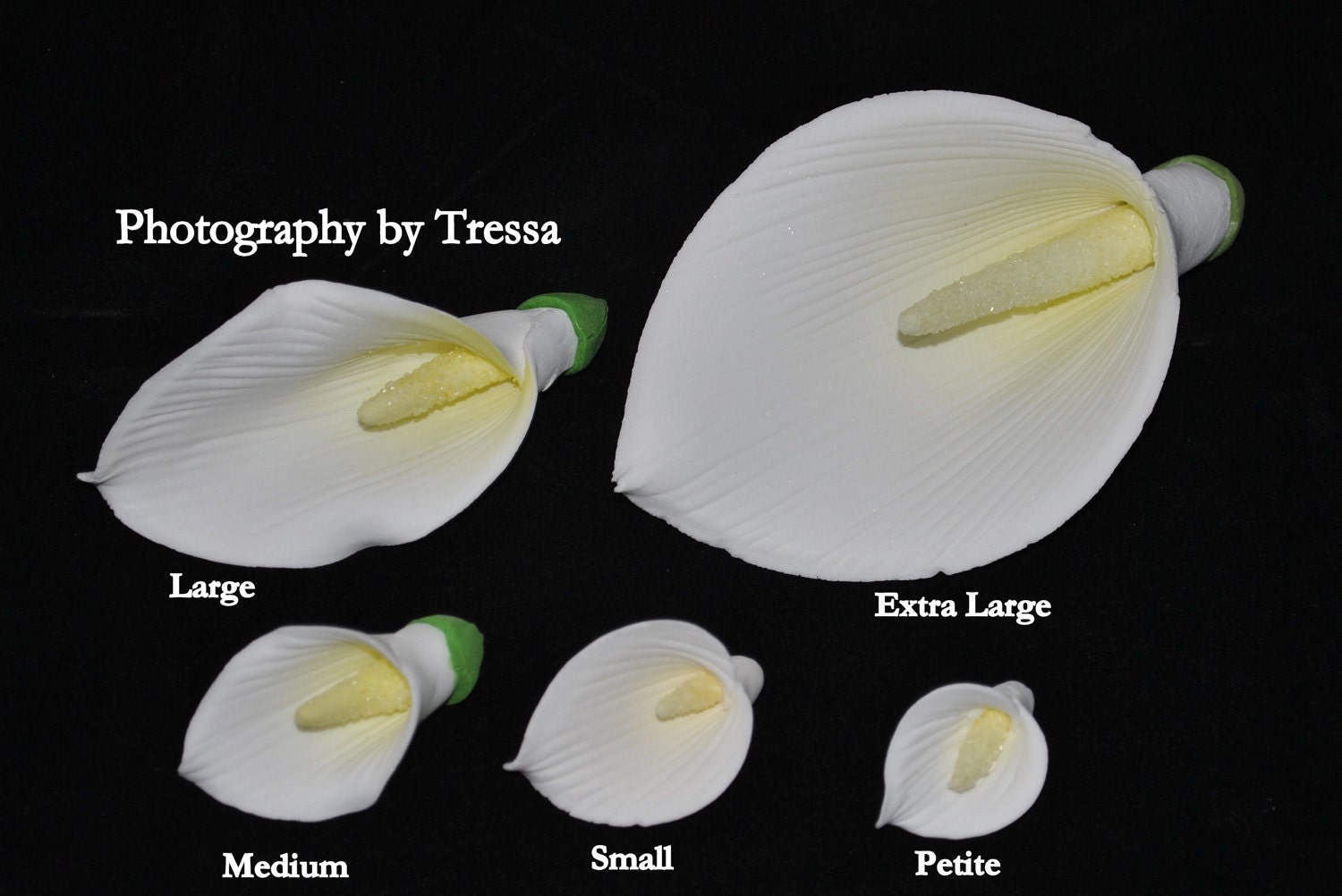 Gumpaste Calla Lily Flower Tutorial Tutoriales De