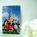 Fantasyland is Just Pooh-fect- 1980's Walt Disney World Postcard