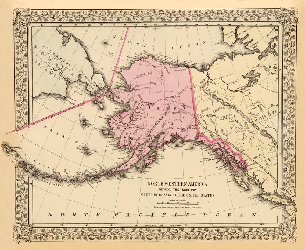 Essay on purchase of alaska