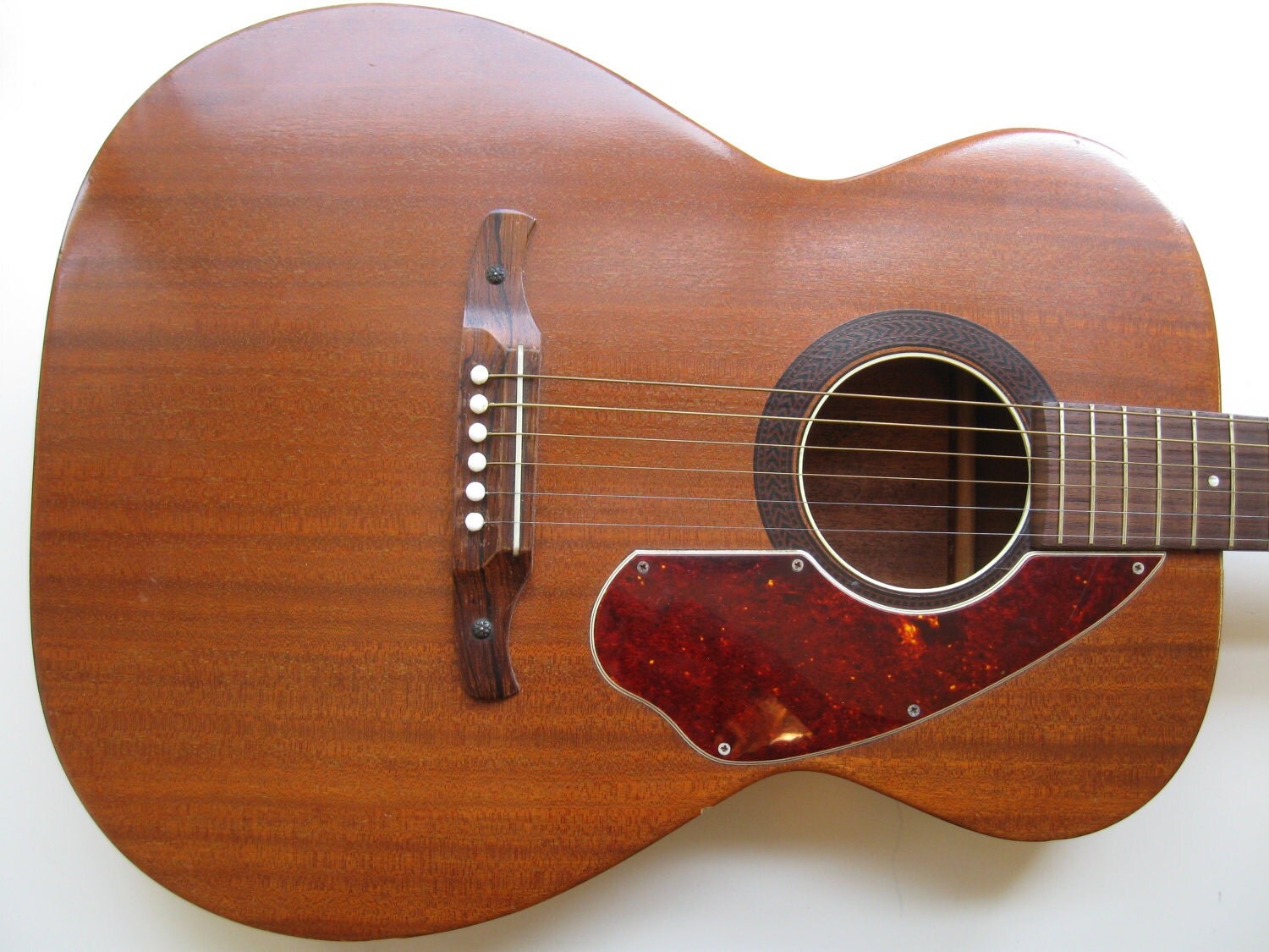Vintage 1970s Fender F60 Acoustic Guitar Made From Walnut
