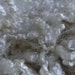Fine White Shinny Yearling Mohair