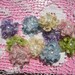Coffee Filter lil Blooms