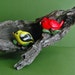 Cardinal and Goldfinch Handmade Magnets Set of Two