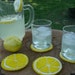 Lemon Slice Felt Coasters