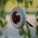 Round Bird Feeder