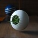 Round Hanging Air Planter