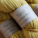 Organic Naturally Dyed Worsted Weight Yarn : Sage Brush
