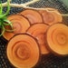 BEAUTIFUL Cypress Tree Coaster slices