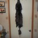 real tanned silver fox fur skin hide animal pelt part tail taxidermy weird rug