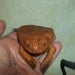 Real animal tanned leather Frog Coin Purse part