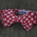 Summertime Picnic Table Red Gingham Bow Tie