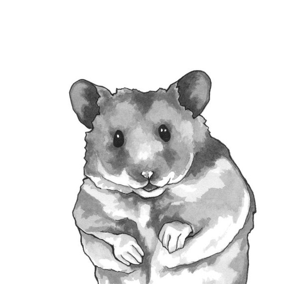 Items similar to Hamster Art Print - Matted 8x10 on Etsy