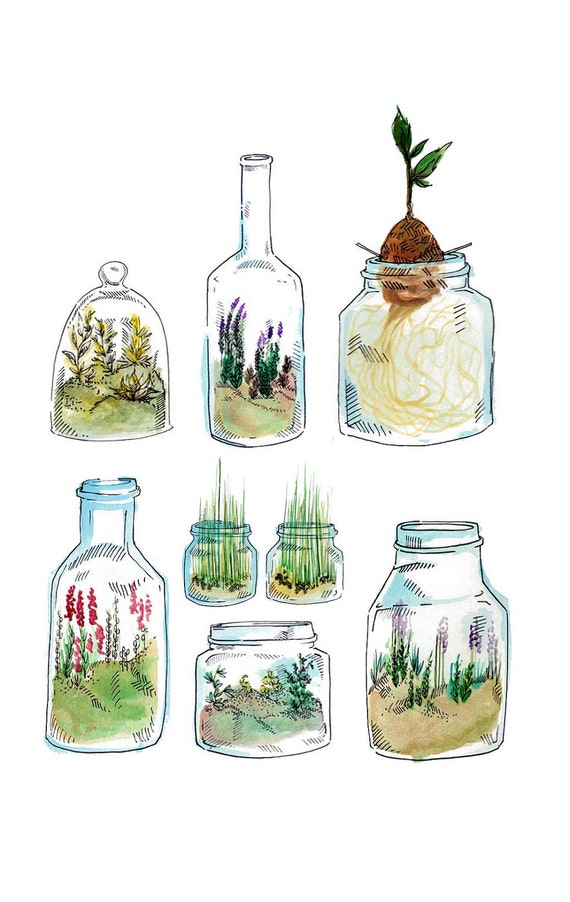 Items similar to terrarium print on Etsy