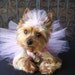 Pretty in Pink Crochet Doggie TuTu dress Hair bow included