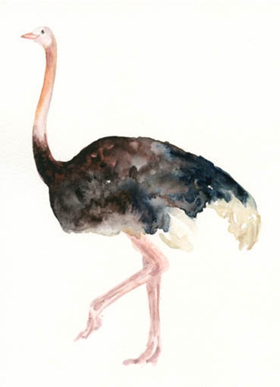 OSTRICH 5x7 Print Art Print-Bird Watercolor Print-Giclee