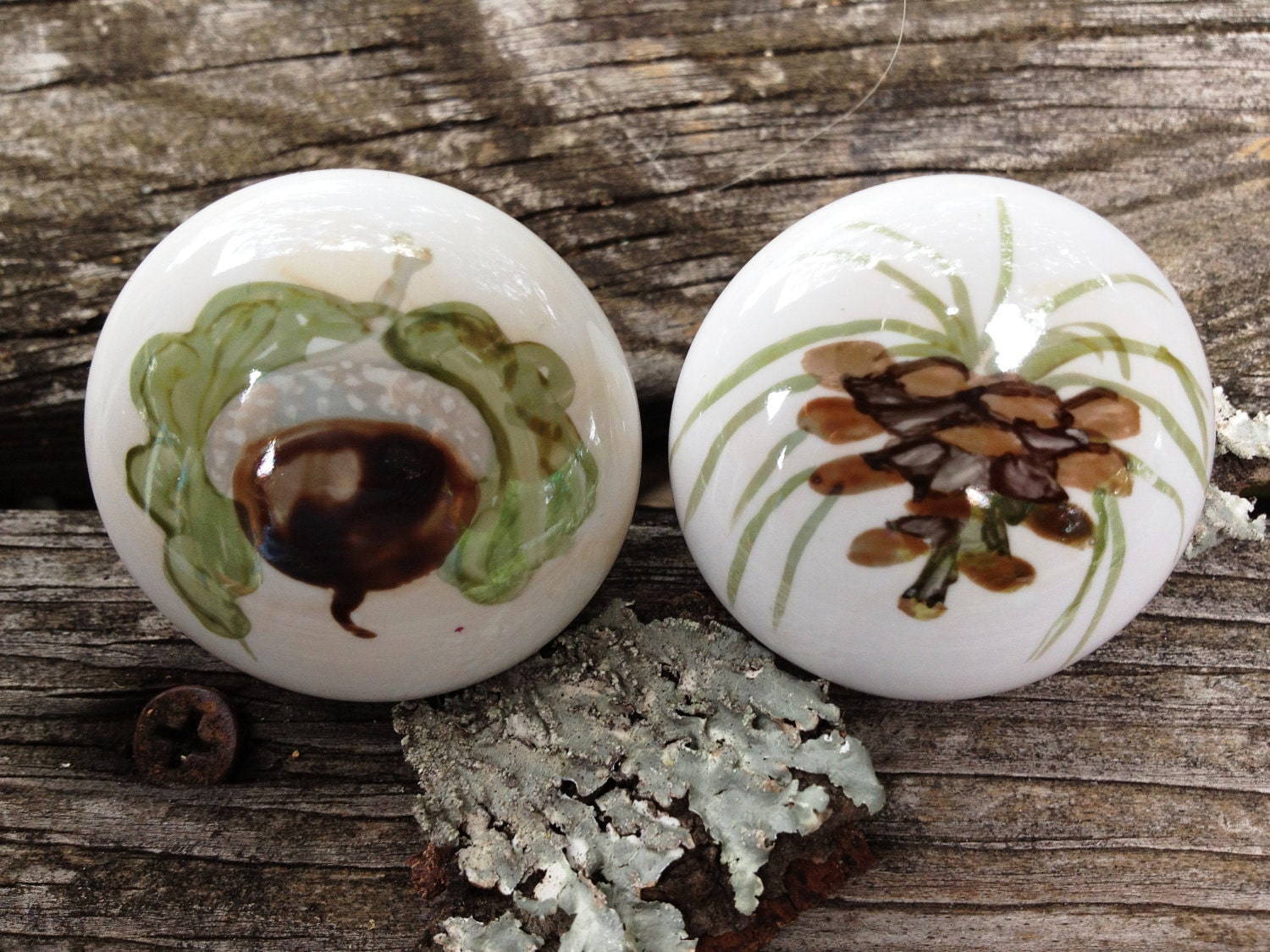 Hand painted porcelain knobs or pulls Pinecone and