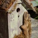 Primitive Birdhouse Rustic Driftwood Accents // Hanging Bird House Functional for Birds // Painted Chickadee Birdhouses // Free Shipping