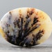 Dendrite, Fern Inclusions - Natural Agate Specimen - 38mm (C743)