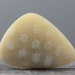 Translucent, Highly Agatized Natural Indonesian Fossil Coral Gemstone Cabochon - Free form Fossil Polished Bezel - 40mm (C766)