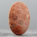Semiprecious Gemstones: Naturally Agatized Coral, Corals - 100 million year old specimens - 54mm XL (CA405)