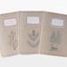 Notebook - lined - Botanic Trio - lot of 3 - BOT6001