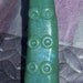 Hentai Tentacle Dildo in Witches Brew