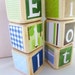 Baby Shower Decoration Nursery Decor. Green Blue. Jill McDonald Adorable Dinos. wood baby blocks. photography prop