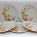 Boontonware Melmac Dinner Plates Somerset