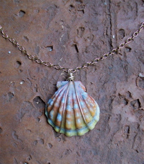Rare Hawaiian Rainbow Sunrise Shell Necklace