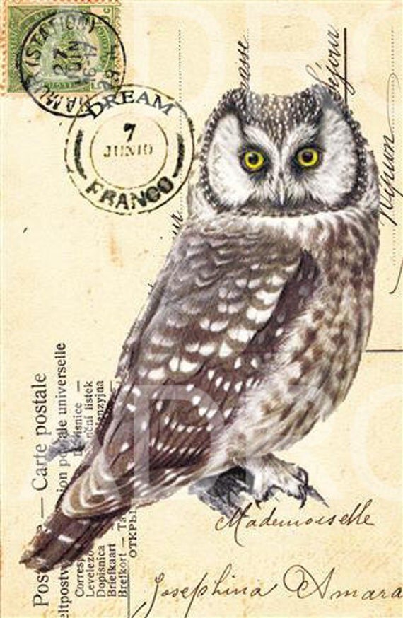 Items similar to Vintage OWL French Carte Postale archival print on Etsy